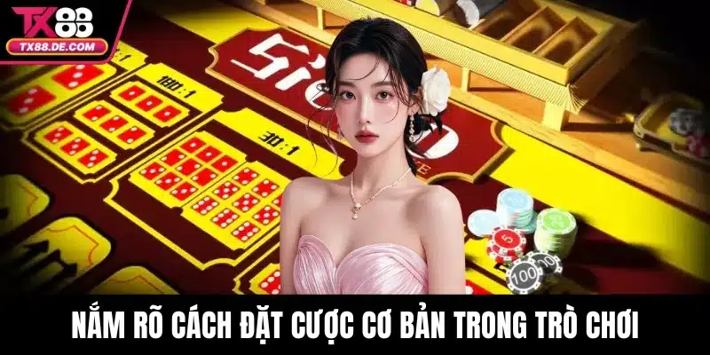 Sicbo TX88 – Game Xúc Xắc Đỉnh Cao Dành Cho Người Mới 3 Nắm rõ cách đặt cược cơ bản trong trò chơi