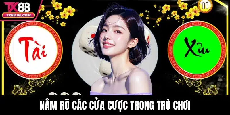 Xóc Đĩa TX88 Bí Quyết Thắng Nhanh Mỗi Phiên Bạn Nên Biết 3 Nắm rõ các cửa cược trong trò chơi